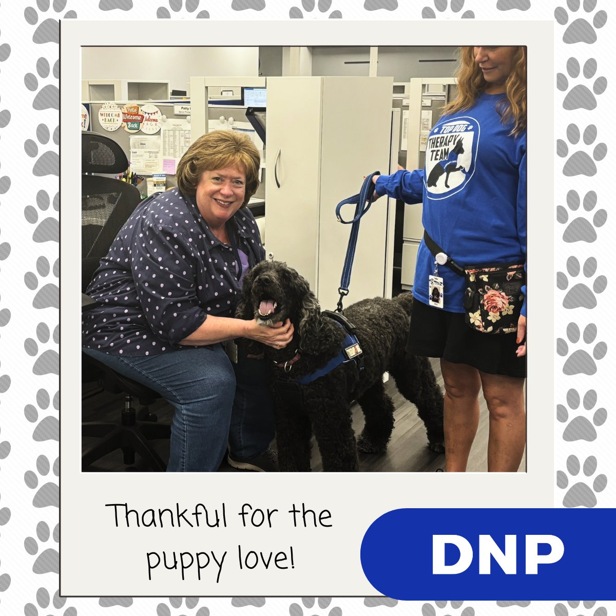 dnpribbons's tweet photo. This week, DNP Pittsburgh had a visit from the Top Dog Therapy Team, a local non-profit organization dedicated to improving the lives of people through the healing power of animals. Three therapy dogs– Elvis, Bella, and Fiona – provided a much-needed break from the daily routine. https://t.co/avAwYOwftS