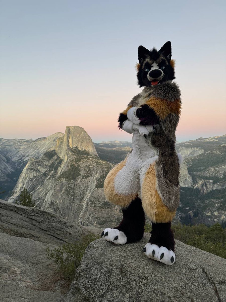 #FursuitFriday taken a week ago at Glacier Point in Yosemite National Park

📸: <a href="/OtterKangaroo/">jasper</a>