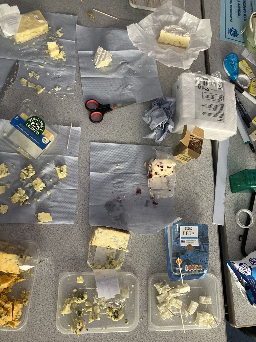 Mrs Hamilton 👩🏻‍🔬 tweet media