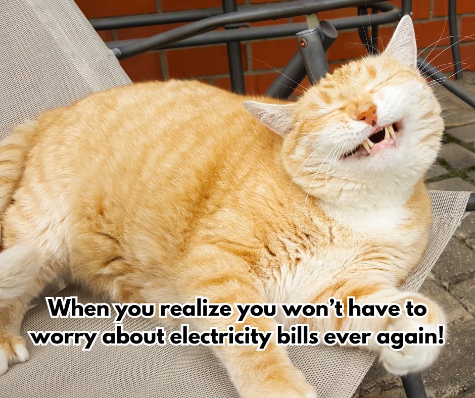 Sun Solar tweet media