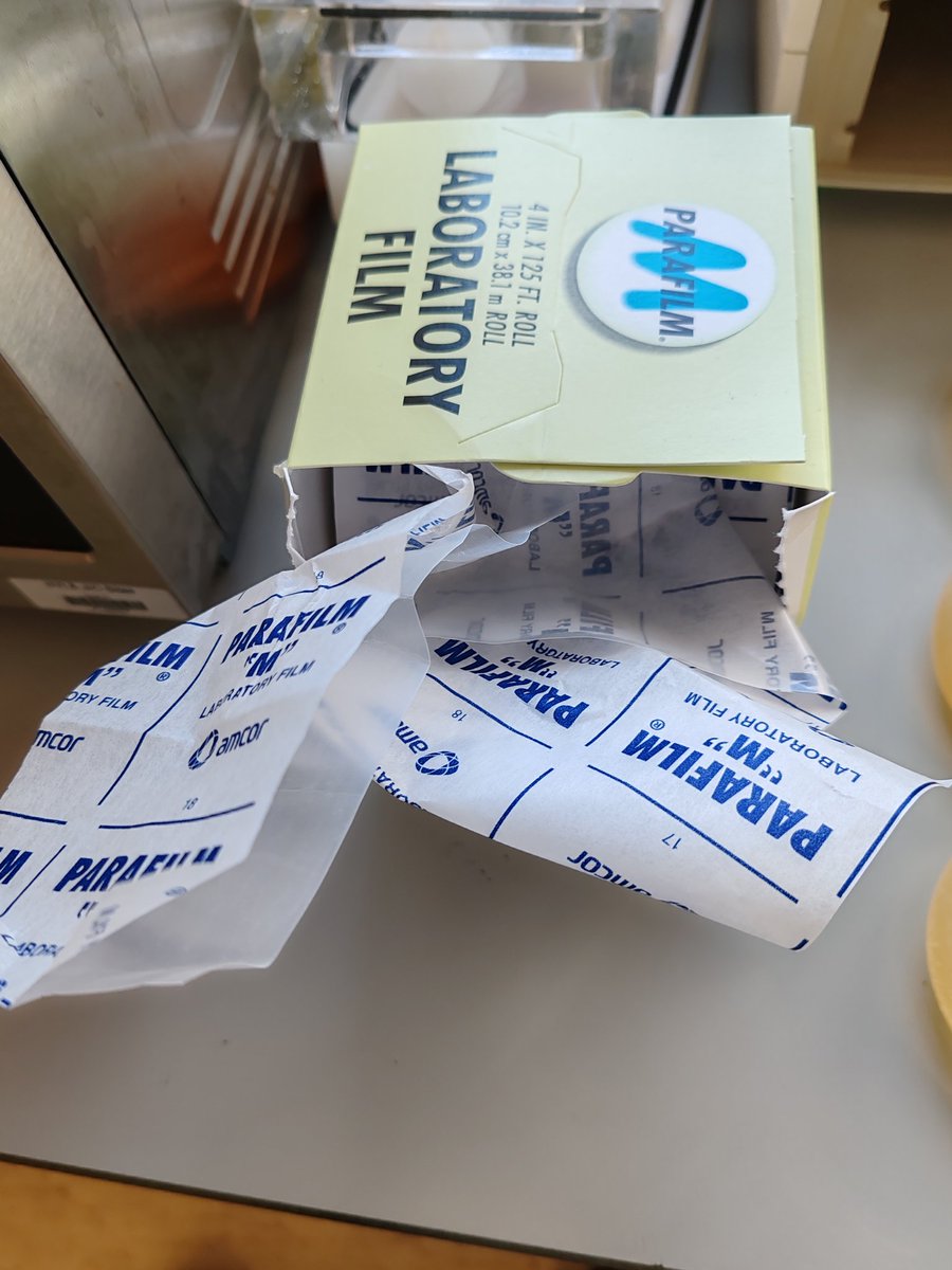 Sam Mugford @samtmugford.bsky.social tweet media