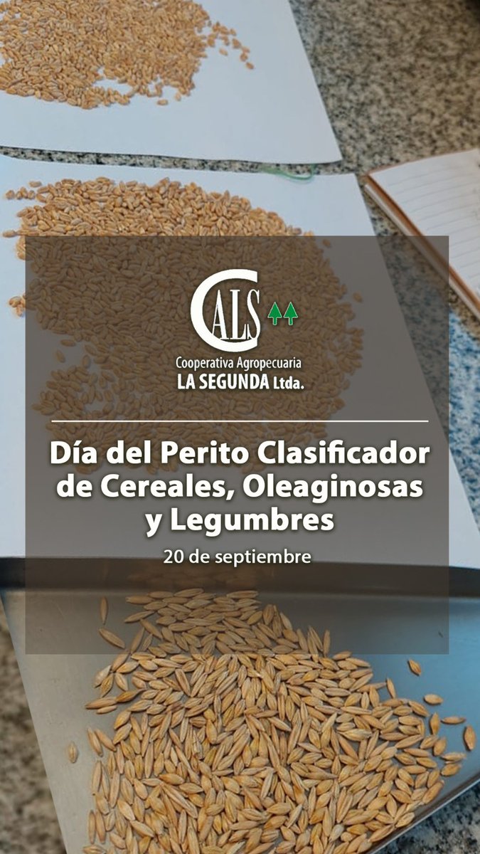 calasegunda's tweet photo. 👉Feliz día del Perito Clasificador de Cereales, Oleaginosas y Legumbres. 20 de septiembre.
.
#agroinsumos #ladulce #necochea #servicios #agropecuaria #registrodelluvias https://t.co/59W2gvMrqa