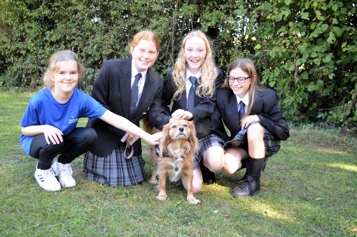 This week our school dog, Dolly, helped
some of the new year 7 students settle
into Woodbrook Vale life. It has been great to see students interact with Dolly, creating a fun but also calm feeling within the school environment. #woodbrookvale #aspireenjoysucceed #therapydog