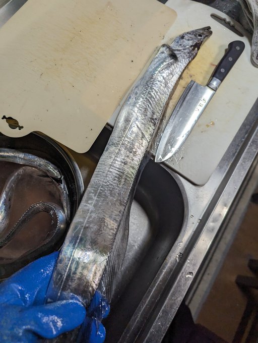 こいつマジでデカイ 引きも楽しかった 命に感謝… 