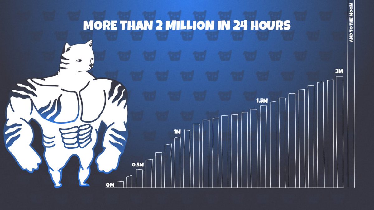Cats&Dogs tweet media
