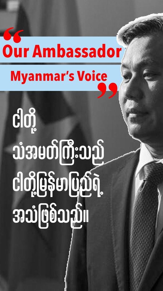 SoeKoKoTAung's tweet photo. Tayzar San 
  · 
❝Our Ambassador - Myanmar's Voice❞
══════════════
အခုဆို ကမ္ဘာ့ကုလသမဂ္ဂအဖွဲ့ကြီးရဲ့ (၇၉) ကြိမ်မြောက် အထွေထွေညီလာခံ စတင် ကျင်းပနေပါပြီ။ ဒီနှစ်မှာလည်း ကုလသမဂ္ဂအဖွဲ့ကြီးအနေနဲ့ ပြည်သူ့အစိုးရ NUG နဲ့ ပြည်သူ့ သံအမတ်ကြီး ဦးကျော်မိုးထွန်းတို့ကို လက်ခံအသိအမှတ်ပြုပေးဖို့ ပြည်သူများက မဖြစ်မနေ တောင်းဆိုတိုက်ပွဲဝင်သွားကြမှာ ဖြစ်ပါတယ်။ တရားဝင်မှုအရေးတိုက်ပွဲ (Credential Campaign) ကို ပြည်သူအားလုံးက ဝိုင်းဝန်းကြိုးပမ်း‌၊ ဆင်နွှဲကြသွားကြမှာ ဖြစ်ပါတယ်။ တချိန်တည်းမှာပဲ ကမ္ဘာ့ကုလသမဂ္ဂ စင်မြင့်ထက်မှာ ဖက်ဆစ်အကြမ်းဖက် စစ်အုပ်စုကို “ ဘူးငြင်းဆန်”  လုံးဝ လက်မခံဖို့၊ အသိအမှတ် မပြုဖို့ တောင်းဆိုကြရမှာ ဖြစ်ပါတယ်။��
ယခုချိန်ဟာ ဆိုးသွမ်းယုတ်မာတဲ့ နေရာမှာ ကမ်းကုန်နေပြီဖြစ်တဲ့ စစ်အာဏာရှင် ပေးတဲ့ ဒုက္ခဘေးဒဏ်တွေအပြင်၊ ရောဂါကပ်ဘေးနဲ့ သဘာဝဘေးဖြစ်တဲ့ ရေဘေးဒဏ်တွေကြား မိဘပြည်သူများရဲ့ ကိုယ်စိတ်နှစ်ပါးစလုံးဟာ အင်မတန် ကြေကွဲ ထိခိုက် နေရတဲ့အချိန် ဖြစ်ပါတယ်။ လူတွေအသက်ကို ကယ်ဖို့ထက်၊ လူတွေရဲ့ ဘဝကို ဖျက်စီးဖိနှိပ်နေတဲ့  မအလ စစ်အုပ်စုကတော့ “ ဘယ်သူ သေသေ ငတေမာရင် ပြီးရော” ဆိုပြီး သူတို့အာဏာနဲ့ အကျိုးစီးပွား ခိုင်မြဲရေးအတွက် လူထု ဘယ်လို ဘေးမျိုးနဲ့ ကြုံကြုံစနစ်ကျတဲ့ ကူညီမှု၊ ကယ်ဆယ်မှု၊ တာဝန်ယူ တာဝန်ခံမှုဆိုတာ ရှိနေမှာမဟုတ်ပါဘူး။ 
မြန်မာပြည်က လူထုရဲ့ ဒုက္ခအထွေထွေတွေကို စာနာနားလည်မှုအပြည့်၊  မြန်မာပြည်သူများရဲ့ ရုန်းကန် တိုက်ပွဲဝင်နေမှုတိုင်းကို လေးစားမှုရှိစွာနဲ့  ကမ္ဘာ့ကုလသမဂ္ဂစင်မြင့်ထက်ကနေ သံတမန်ရေးတိုက်ပွဲ ကို ဆင်နွှဲပြီး လူထုနဲ့ အတူ ရပ်တည်အသံထုတ် နေသူကတော့ သံအမတ်ကြီး ဦးကျော်မိုးထွန်းဖြစ်ပါတယ်။ 
ကမ္ဘာ့ကုလသမဂ္ဂလို အဖွဲ့အစည်းကြီးမှာ မြန်မာပြည်သူလူထုကို ကိုယ်စားပြုတဲ့ သံအမတ်ကြီး ဦးကျော်မိုးထွန်း ရှိနေခြင်းသည် ဒီပြည်သူ့နွေဦးတော်လှန်ရေးကြီးရဲ့ အင်မတန်မှ ထူးခြားကောင်းမွန်လှတဲ့ အားသာချက်ကြီးတရပ် ဖြစ်ပါတယ်။ မြန်မာနိုင်ငံမှာ ရှေးယခင် ဘယ်တော်လှန်ရေးအချိန်အခါမှာမှ မရှိဖူး၊ မရဖူးတဲ့ အခွင့်အရေးလည်း ဖြစ်ပါတယ်။ သံအမတ်ကြီး ဦးကျော်မိုးထွန်းဟာ ကမ္ဘာကြီးနဲ့ နိုင်ငံတကာ အသိုင်းအဝိုင်းက သိရှိနားလည်ဖို့အတွက် မြန်မာလူထုရဲ့အသံကို ကုလသမဂ္ဂစင်မြင့်ထက်မှာ တရားဝင် ထုတ်ဖော်ပြောဆိုနိုင်သူ ဖြစ်ပါတယ်။ အဲဒီလိုအခွင့်အရေးမျိုးက သံအမတ်ကြီးတဦးတည်းမှာသာ ရှိပါတယ်။ ဒါ့ကြောင့် မြန်မာလူထုရဲ့ အသံကို မြန်မာ့သံအမတ်ကြီးက နိုင်ငံတကာ အသိုင်းအဝိုင်းမှာ ဆက်လက် လက်ကမ်း တင်ပြ၊ ဆက််သွယ်၊ ထုတ်ဖော်ပေးနိုင်ဖို့ဆို လက်ရှိနေရာကို ဆက်လက် ရရှိနေဖို့ အထူးလိုအပ်ပါတယ်။
ကမ္ဘာ့ကုလသမဂ္ဂအဖွဲ့ကြီးရဲ့ အဓိက တာဝန်တွေက ကမ္ဘာ့ငြိမ်းချမ်းရေး၊ လုံခြုံရေးနဲ့ တရားမျှတမှုတို့ကို ဆောင်ကြဉ်းပေးနိုင်ဖို့ ဖြစ်တယ်လို့ နားလည်ပါတယ်။ ဖက်ဆစ်အကြမ်းဖက်စစ်အုပ်စုဟာ ပြည်သူ့အသက် အိုးအိမ်စည်းစိမ်ကို အချိန်နဲ့အမျှ အကြမ်းဖက်နေတယ်၊ သတ်ဖြတ်နေတယ်၊ ဖျက်ဆီးနေပါတယ်။ ဒီဖက်ဆစ်အုပ်စုဟာ ရာဇဝတ်မှုမျိုးစုံကို ကျူးလွန်နေတဲ့ စစ်ရာဇဝတ်ကောင်တွေ ဖြစ်ကြတယ်။ မြန်မာပြည်သူတရပ်လုံးက အကြမ်းဖက်စစ်အုပ်စုကို လုံးဝ လက်မခံကြဘူးဆိုတာကို ဖိနှိပ်မှုမျိုးစုံကြားကနေ အချိန် (၃) နှစ်ခွဲ ကြာမြင့်သည်အထိ ပုံစံမျိုးစုံနဲ့ ဖော်ထုတ်ပြသကြလျက်ပါ။
သန်းနဲ့ချီတဲ့ မြန်မာပြည်သူတရပ်လုံး “ဘူး" ငြင်းဆန်၊ ဆန့်ကျင်နေတဲ့ စစ်ရာဇဝတ်ကောင်တွေဖြစ်ကြတဲ့ အကြမ်းဖက် အာဏာသိမ်းစစ်အုပ်စုကို ကမ္ဘာကြီးက လက်ပိုက်ကြည့်မနေဘဲ ထိုက်သင့်သလို ပြစ်ဒဏ်စီရင်၊ တုန့်ပြန်ကြဖို့လည်း တောင်းဆိုအပ်ပါတယ်။ ဒါမှသာလျှင် အမှန်တရား၊ တရားမျှတမှုနဲ့ ကမ္ဘာ့ငြိမ်းချမ်းရေးတို့ကို အမှန်တကယ် လိုလား၊ ထိန်းသိမ်း၊ ကာကွယ်လိုပါတယ်ဆိုတဲ့ ကမ္ဘာ့ကုလသမဂ္ဂအဖွဲ့ကြီး တည်ရှိစုဖွဲ့ရခြင်းဟာ အဓိပ္ပာယ်ရှိတဲ့ တည်ရှိခြင်း၊ အကျိုးရှိတဲ့ တည်ရှိခြင်း ဖြစ်ပါလိမ့်မယ်။ 
ပြည်သူ‌အပေါင်းတို့ခင်ဗျား-
ပြည်သူ့အစိုးရ NUG အတွက်၊ ကုလ သံအမတ်ကြီး ဦးကျော်မိုးထွန်းအတွက် တရားဝင်မှုအရေးတိုက်ပွဲ (Credential Campaign) ကို ပြည်သူအားလုံးက ဝိုင်းဝန်းကြိုးပမ်း‌၊ ဆင်နွှဲကြဖို့ အချိန်ကျရောက်လာပါပြီ။ ဒီအတွက် မြေပြင်ကော၊ အွန်လိုင်းမှာပါ (Online, On-ground) လူထုတိုက်ပွဲ၊ လူထု လှုပ်ရှားမှုတွေ အများကြီးဆင်နွှဲကြဖို့ လိုအပ်မှာဖြစ်ပါတယ်။�
“ပြည်သူ့အားကို အများကြီး လိုအပ်ပါတယ်ခင်ဗျား..” ဘေးဒုက္ခအသွယ်သွယ်ကြားကနေ ပြည်သူချင်း ပေါင်းစည်း၊ ဖေးမမှုတွေနဲ့အတူ သက်လုံနဲ့ ခံနိုင်ရည်အားကို မြှင့်တင်ကြပါစို့။ အားလုံးအတူတကွ ဝိုင်းကြ၊ ဝန်းကြ တိုက်ပွဲဝင်ကြပါစို့။ 
အာဏာရှင်စနစ်ဟူသမျှ မုချ ကျဆုံးရမည်။ 
ဖက်ဒရယ်ဒီမိုကရေစီပြည်ထောင်စု မုချ တည်ဆောက်နိုင်ရမည်။ 

အရေးတော်ပုံ အောင်ရမည်။
#ငါတို့သံအမတ်ကြီးသည်ငါတို့မြန်မာပြည်ရဲ့အသံဖြစ်သည်
#အာဏာရှင်ကိုဘူးငြင်းဆန်
#ဘူးသပိတ်ဆင်နွှဲဖက်ဆစ်ဖြိုလှဲ
#OurAmbassadorMyanmarsVoice
#AcceptNUGRejectMilitary
#CredentialCampaign