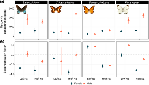 saltyecoevo's tweet image. Did you know most male butterflies can accumulate more sodium than females from their larval diet? We found this sexually dimorphic trait in 3 species. 
Published in @Ecol_Ent. 
resjournals.onlinelibrary.wiley.com/doi/epdf/10.11…