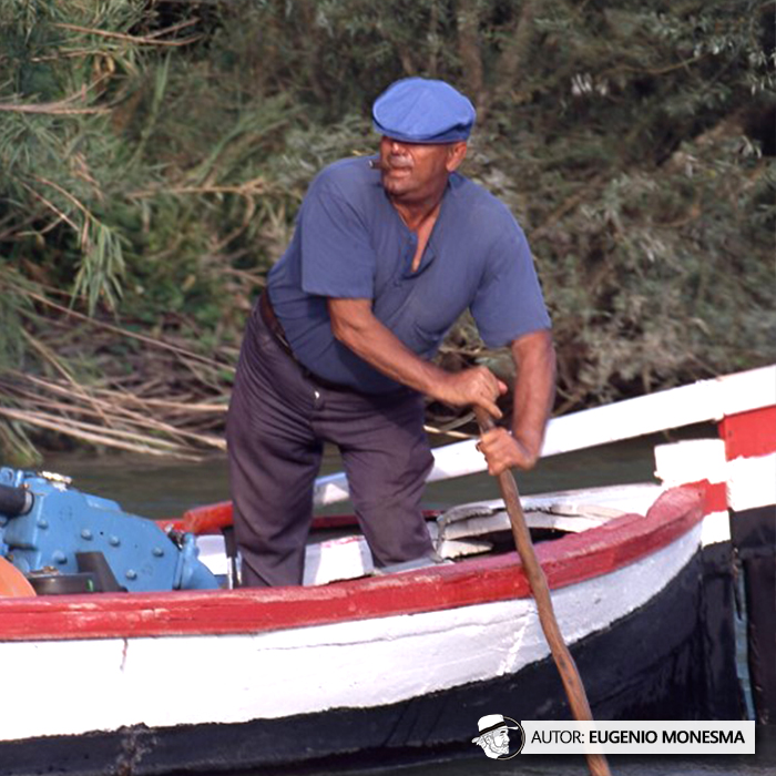 EugenioMonesma's tweet photo. 🚣 ¿Has oído hablar del oficio de #llaguter?
Por el río #Ebro pasaron, desde la noche de los tiempos, barcas, barcazas, pontones y, sobre todo, #llaguts. Enric era en 1998 el último de una saga de #barqueros o #llaguters.
📽️ Documental COMPLETO (9'): https://t.co/KPCduqXCZa https://t.co/tmpCZfT3wF