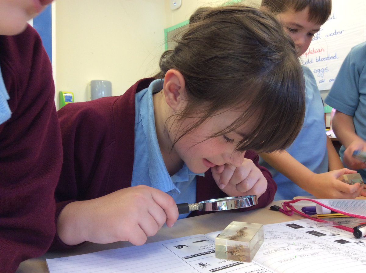 La Mare Primary tweet media