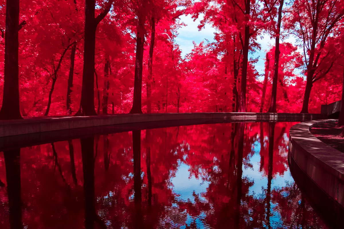 Shotsbyjamey's tweet image. Roosevelt memorial in infrared! 
.
.
.
#shotsbyjamey #infraredphotography #colorinfrared #dcphotographer