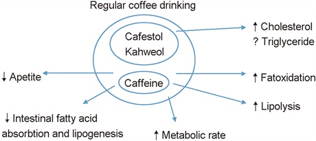 IberianCitizen's tweet photo. El café tiene efecto antioxidante, antiinflamatorio y suprime el apetito. 

✅Su consumo moderado se asocia con menor riesgo de muerte por enf. cardiovascular, obesidad, diabetes, hipertensión, arritmias y mejor supervivencia general💪☕
#dieta #ECV #cafe
https://t.co/Da6hqFngkm https://t.co/Wee5H7ZUjD