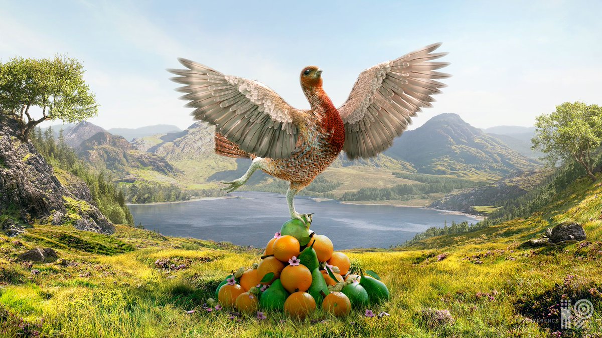 Interference Pattern tweet media