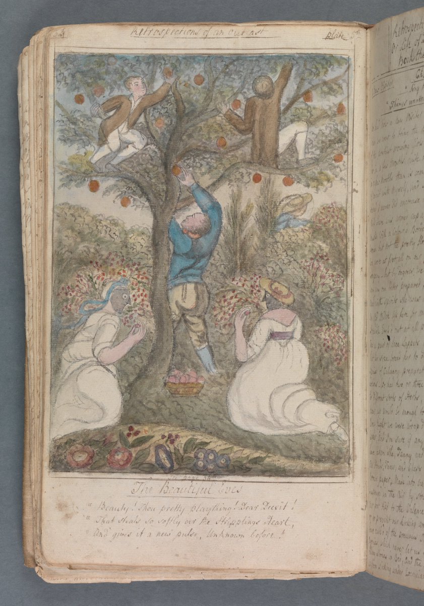 TCDResearchColl's tweet image. Join us on Wednesday for our Quick Picks from @tcdlibrary! Here&apos;s a sneak peak at some of our favourites 🪄📚✨ #TCDAHfest #HubMatters