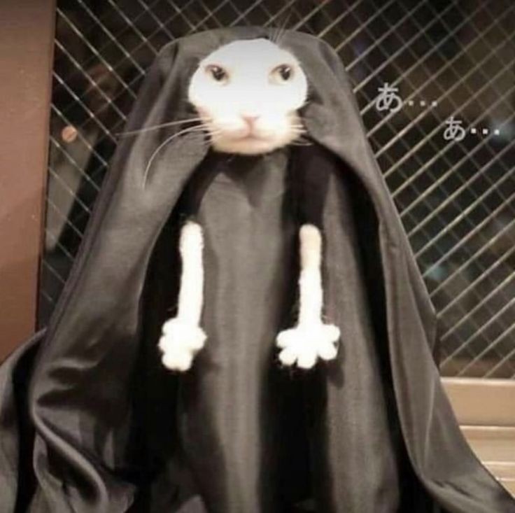 chccocal's tweet image. me quedaban $10mil para sobrevivir y acabo de gastar $8mil en laxantes