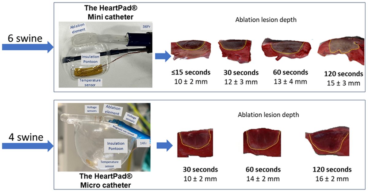 Pasquale Santangeli tweet media