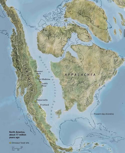 North America about 77 millions years ago