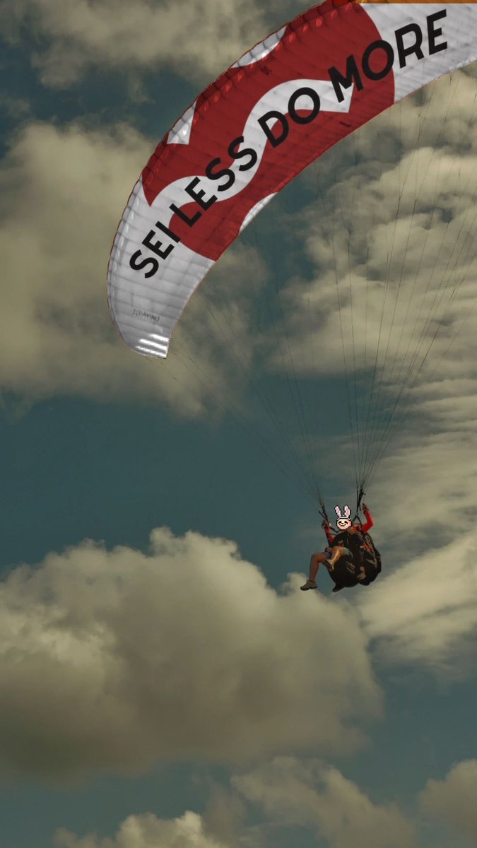 Gm Seiyans 🐰 Greetings to everyone from the sky 🪂

It's been a great week with the SEI price up 25% and volume returning to NFTs 🔥