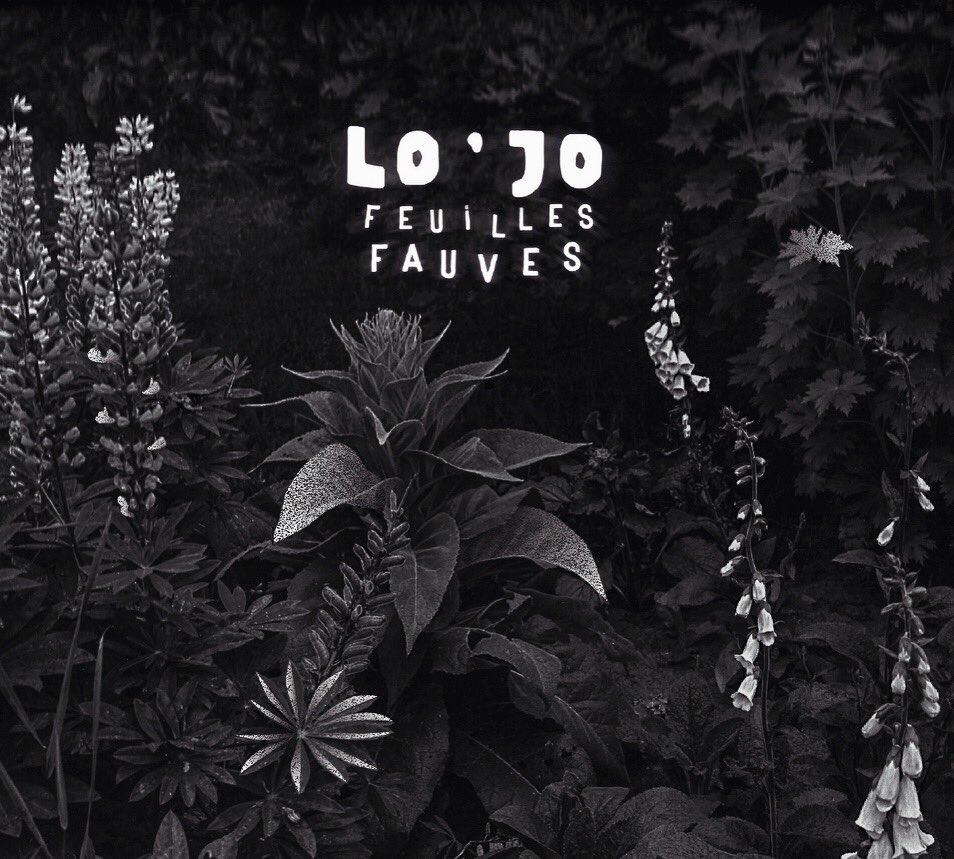 LO'JO [Official] tweet media