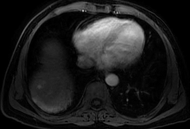 د.سلطان رباح الحربي | Dr. Sultan R.Alharbi tweet media