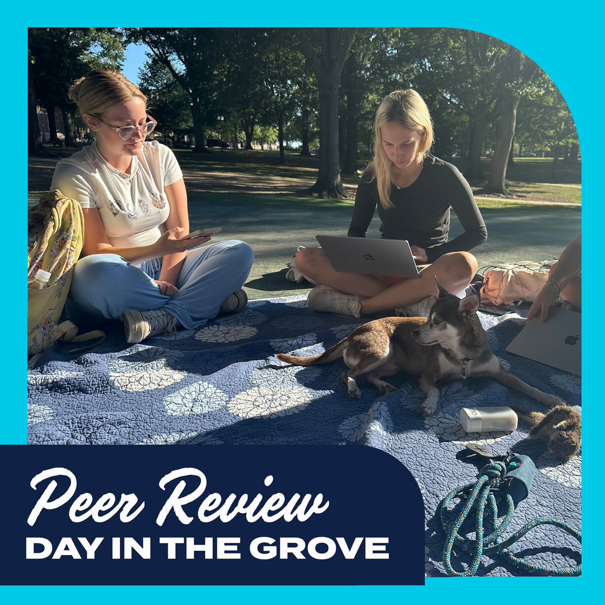 A sunny start to the year for our peer reviewers in WRIT 101! 🔆