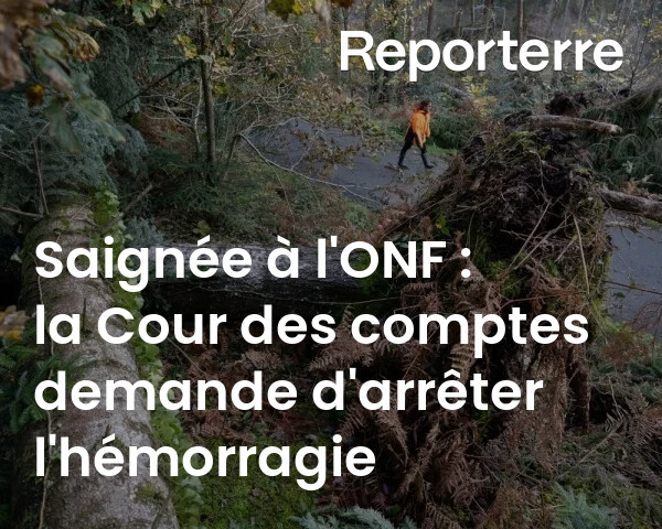 Reporterre 🌍 | Le média de l'écologie tweet media