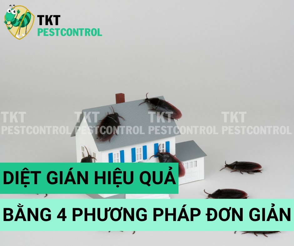Diệt gián hiệu quả bằng 4 phương pháp đơn giản dlvr.it/TDTW7P
