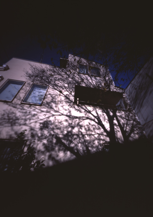sikiko's tweet photo. 過去作品から毎日1枚、#針穴写真 を上げてるっす。1230日目。
#pinhole
#pinholephotography
#ピンホール写真
#lensless
#analogphotography
#onfilm
#fujifilm
#velvia50
#treeshadow
#filmisnotdead
#velvia50をなくさないで
#mediumformat
#120film
#6x9
#1日1枚針穴写真 https://t.co/5wYyV8bxbj