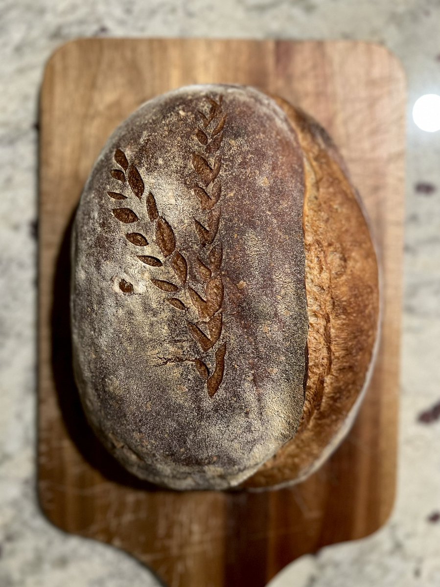 nichtszusehenn's tweet image. کراست یا پوسته ی نون خمیرترش مورد علاقه من به زرشکی مایل میشه که نشونه ی بخار کافی در هنگام پخت، هایدریشن کافی خمیر، تخمیر مناسب و حضور حضرت‌ چاودار در خمیره. 

#23Cafe
#RealBread
#RyeSourdough