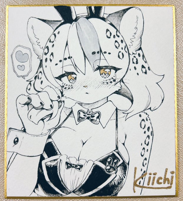 追加色紙です!✍️🐱
(今までのと同じサイズです) 