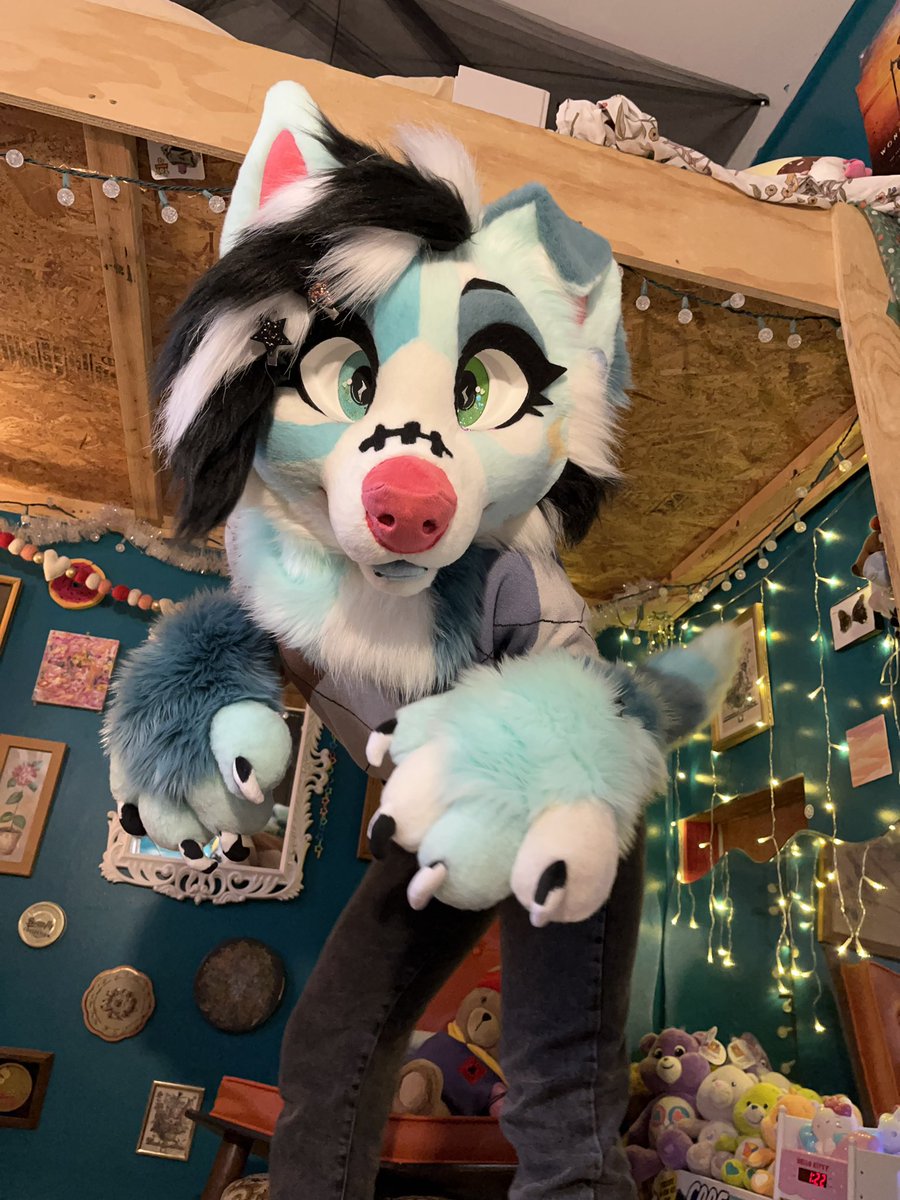 ¡shiba! tweet media