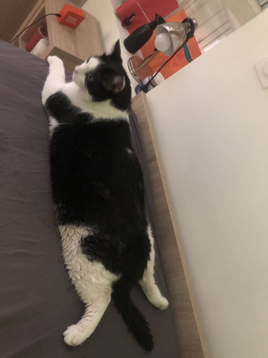 sarh12100's tweet photo. Jsp si on se rend compte sérieux le mec fait 10kg https://t.co/0LzCLD70an
