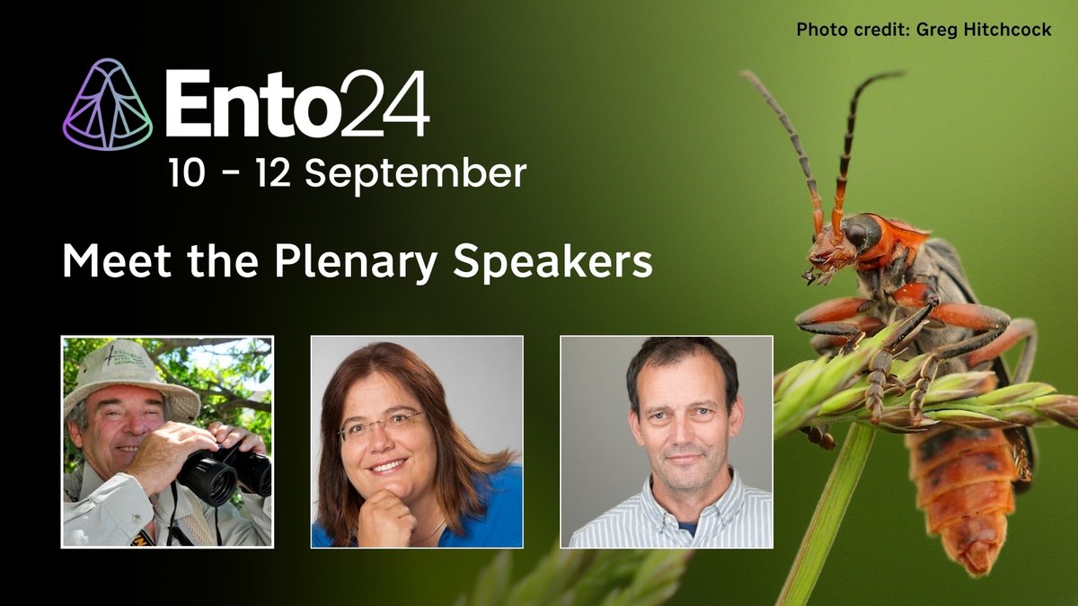 RoyEntSoc's tweet photo. Did you miss the #Ento24 plenary talks?

Re-watch Michael Samways of @StellenboschUni, @SusanneFoitzik of @uni_mainz_eng and @TorrSteve of @LSTMnews share their research on YouTube 🔽

https://t.co/xWlkZt50ZA https://t.co/Z1EBHyNDgZ