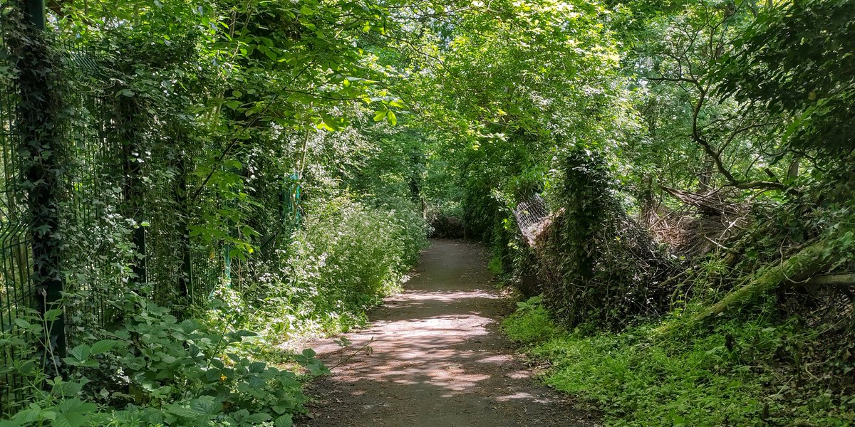 Are you available to help at the Bird Sanctuary in The Glade #OldCoulsdon tomorrow Sep 21 10-12? You will be cutting back vegetation that has grown through the railings and retrieving litter that may harm the wildlife. Please bring your own sturdy gloves and secateurs.