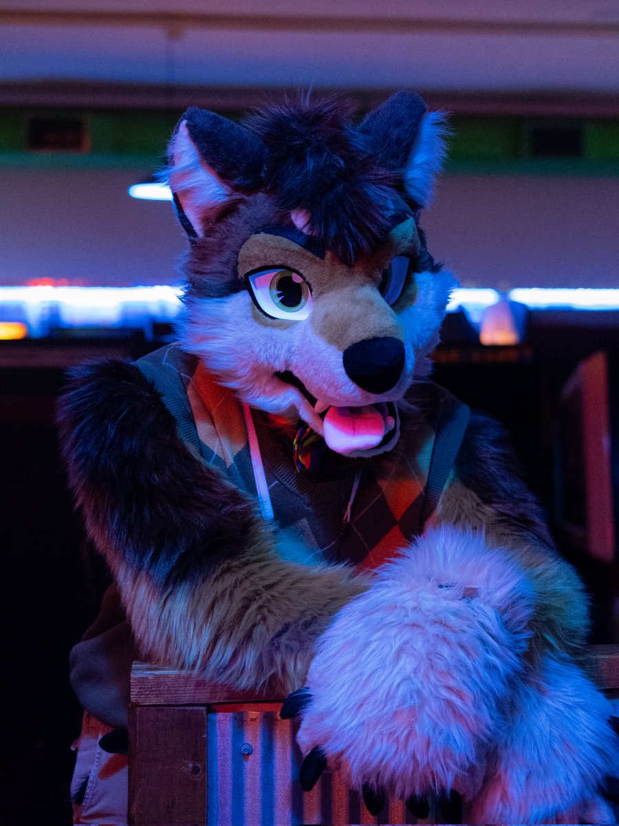 Jai 🐾 (@jai_shibe) on Twitter photo You catch him staring at you from across the arcade... He's thinking he can beat your score in crazy taxi
#FursuitFriday
📸: <a href="/RacksTheRaccoon/">RacksTheRaccoon</a> You catch him staring at you from across the arcade... He's thinking he can beat your score in crazy taxi
#FursuitFriday
📸: <a href="/RacksTheRaccoon/">RacksTheRaccoon</a>