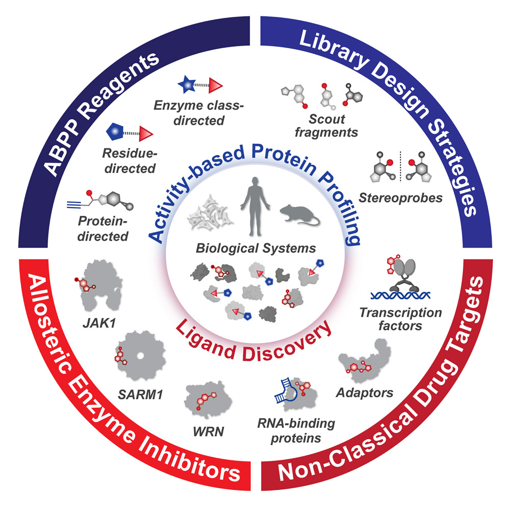 CellChemicalBiology (@cellchembiol) on Twitter photo #Review Ligand discovery by activity-based protein profiling by <a href="/MJNiphakis/">Micah Niphakis</a> and <a href="/bencravatt/">Ben Cravatt</a> at Lundbeck La Jolla Research Center Inc. and <a href="/scrippsresearch/">Scripps Research</a> dlvr.it/TDTXhF #Review Ligand discovery by activity-based protein profiling by <a href="/MJNiphakis/">Micah Niphakis</a> and <a href="/bencravatt/">Ben Cravatt</a> at Lundbeck La Jolla Research Center Inc. and <a href="/scrippsresearch/">Scripps Research</a> dlvr.it/TDTXhF