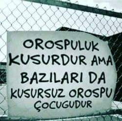 <a href="/tokcem/">CEM TOKER🐬</a> @avtolgatnyldz