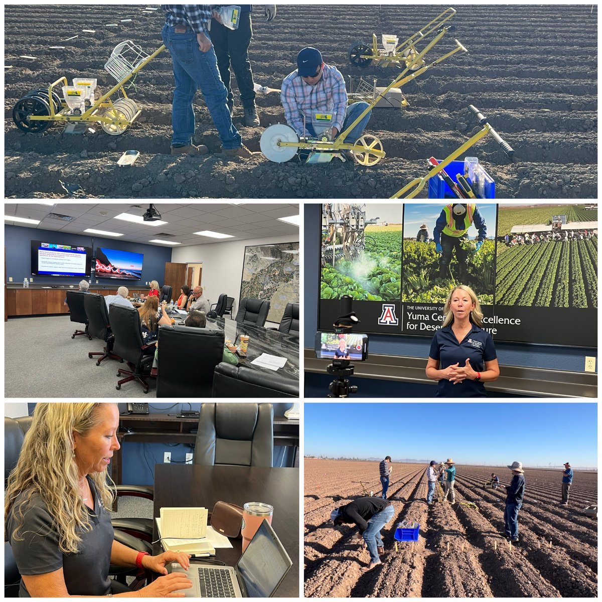 ✨#fridayhighlights of a week of #researchanddevelopment ✨
✅ plant #Fusariumwilt of lettuce field trial 
✅interview 
✅strategic planning sessions 
✅write reports  
✅grant proposals
✅#AgTech conference planning 
What a week it’s been! 🎉 #innovation #DesertAgSolutions