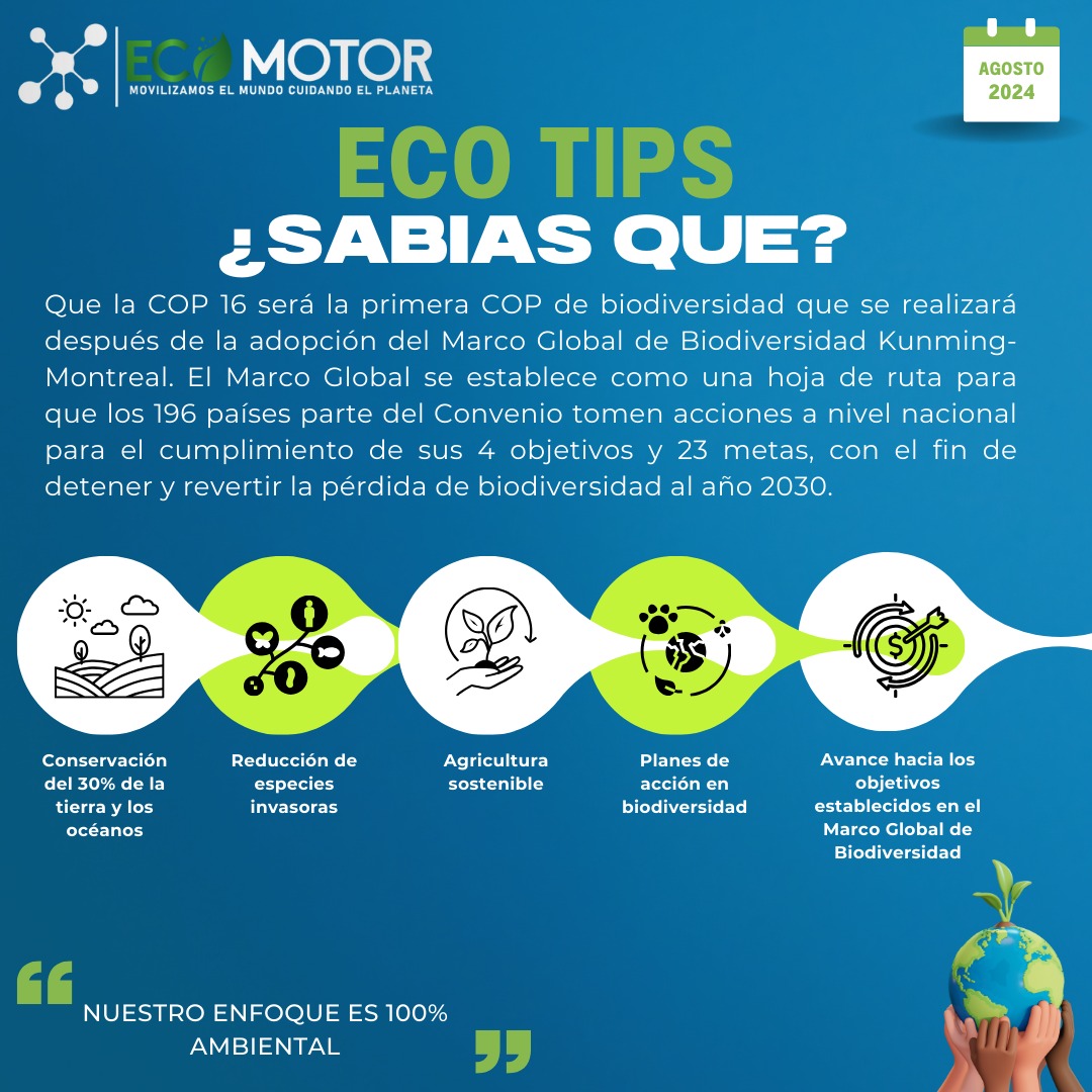 Ecomotor_oficial tweet media