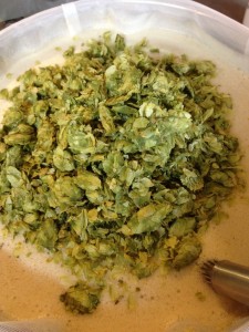 Homebrew Finds tweet media