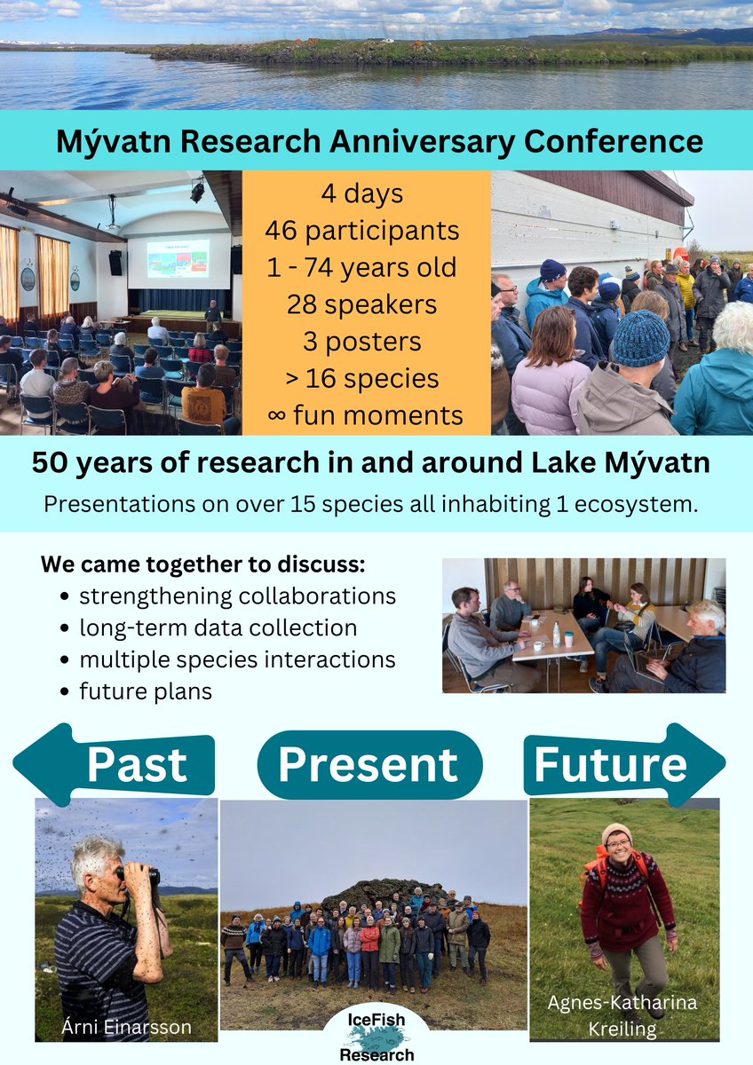 IceFish Research tweet media