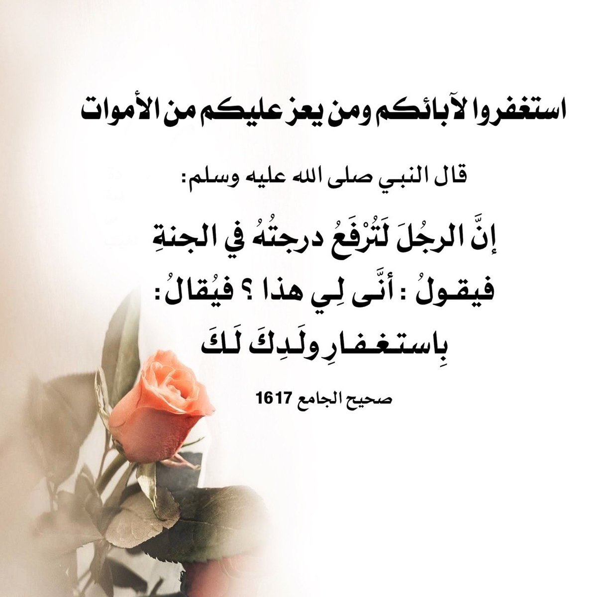 قال النبي صلى الله عليه وسلم : ( إنَّ الرجُلَ لَتُرْفَعُ درجتُهُ في الجنةِ فيقولُ : أنَّى لِي هذا ؟ فيُقالُ : بِاستغفارِ ولَدِكَ لَكَ )

الراوي: أبو هريرة المحدث: الألباني - المصدر: صحيح الجامع - الصفحة أو الرقم: 1617 خلاصة حكم المحدث: صحيح
#ساعه_استجابه