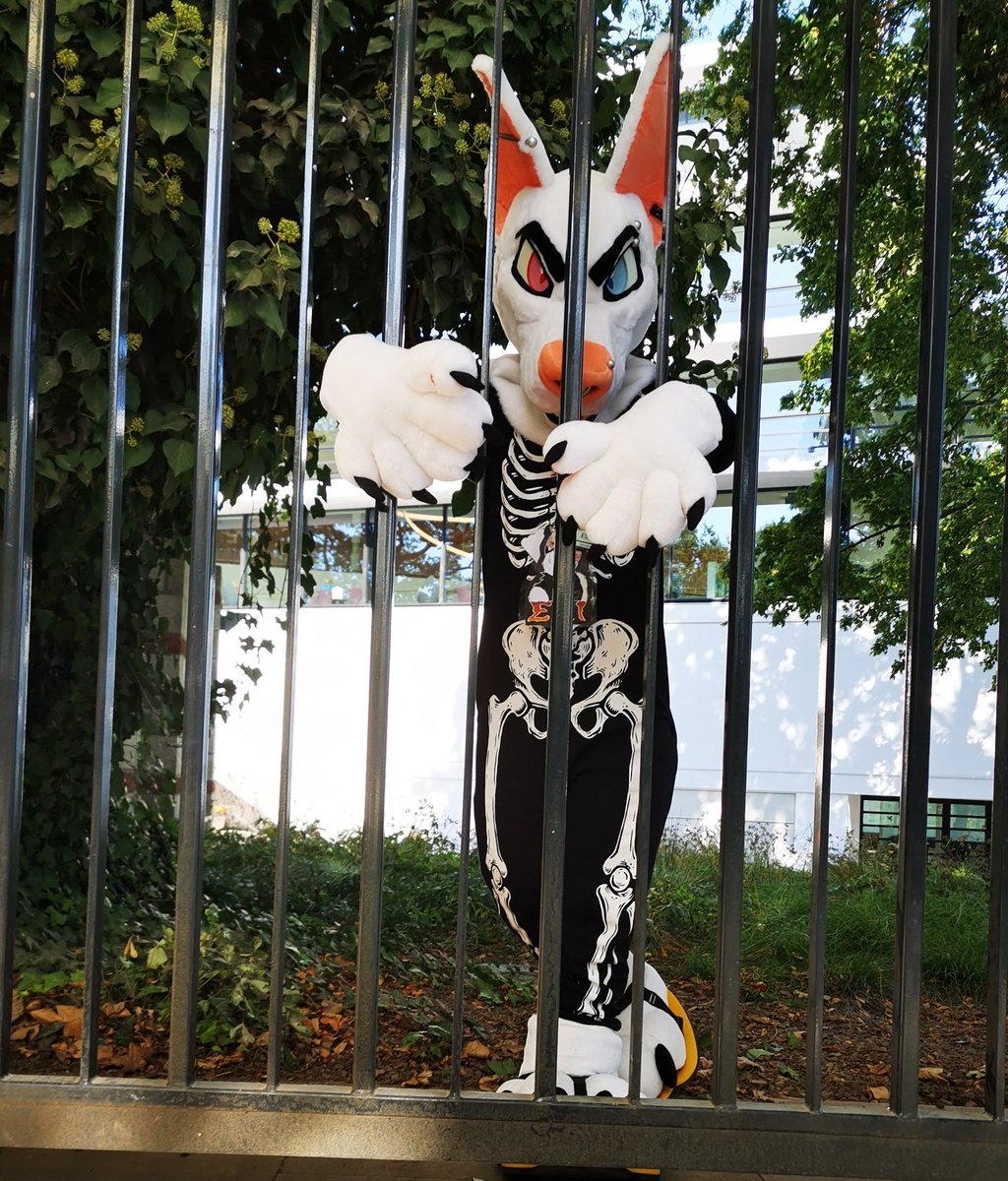 I got sent to jail on this #fursuitfriday :(

(🪡@/LomonosovFur
📸@/DionWolverine)