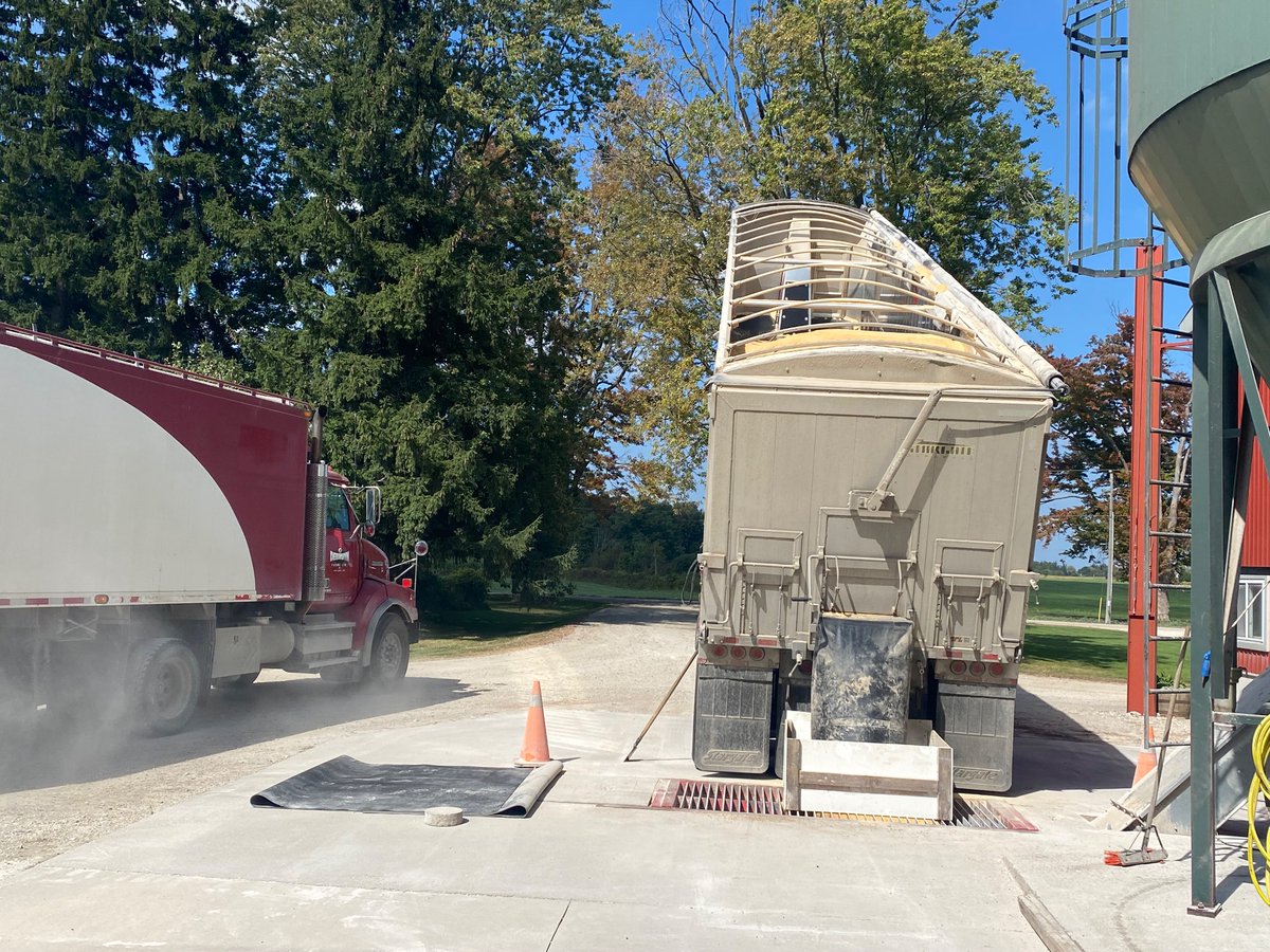 Soymeal in, harvested soybeans out.