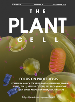 PlantSciEvents's tweet photo. New Event Added: The Plant Cell Webinar Focus on Proteolysis https://t.co/VqMiJwZy1V https://t.co/ecClcfgvAa