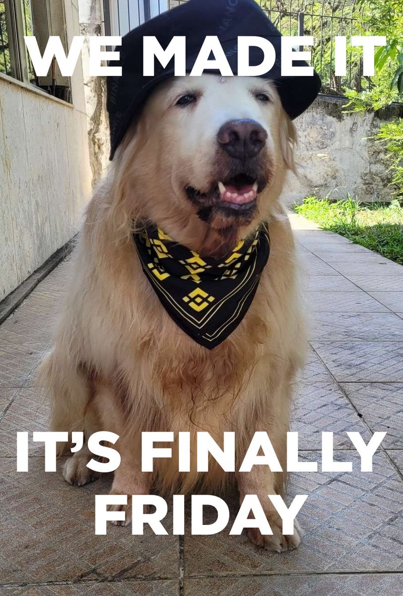 Binance Intern tweet media