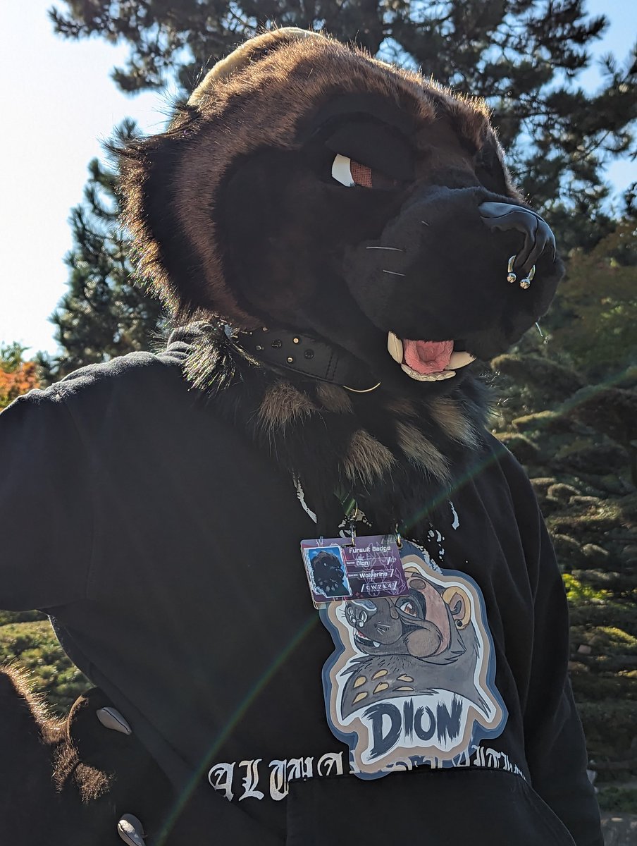 DION. 🕯🔥 tweet media