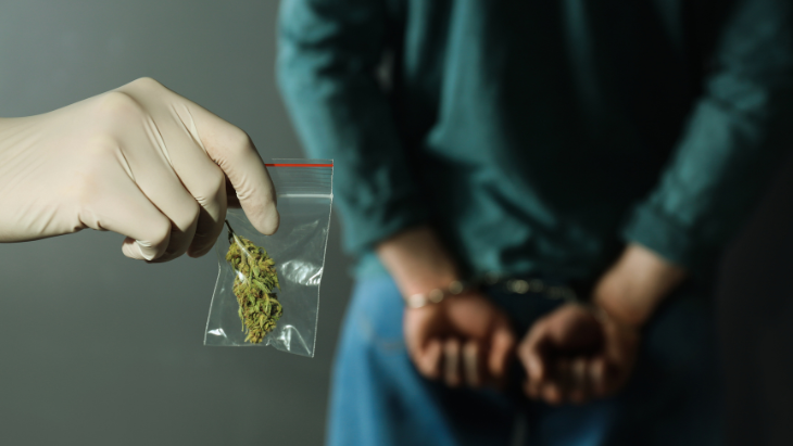 SystemsElevated's tweet photo. NORML Op-Ed: Both Presidential Candidates Agree: We Need To Stop Arresting People for Marijuana https://t.co/6xU5w0RbGT https://t.co/Bp2P3ZyqN8