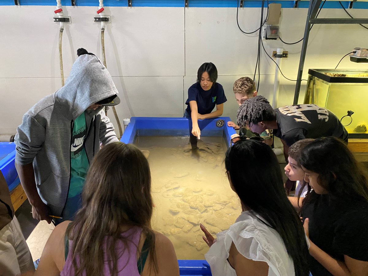 HudsonRiverPark's tweet image. Get ready, it’s almost time for the @emcollective #ClimateScienceFair where we’ll be celebrating three days of climate optimism, taking place on the High Line at W 14 Street.

🗓️Saturday, September 21 to Monday, September 23
⏰10:00 AM — 7:00 PM
📌High Line at W 14 Street