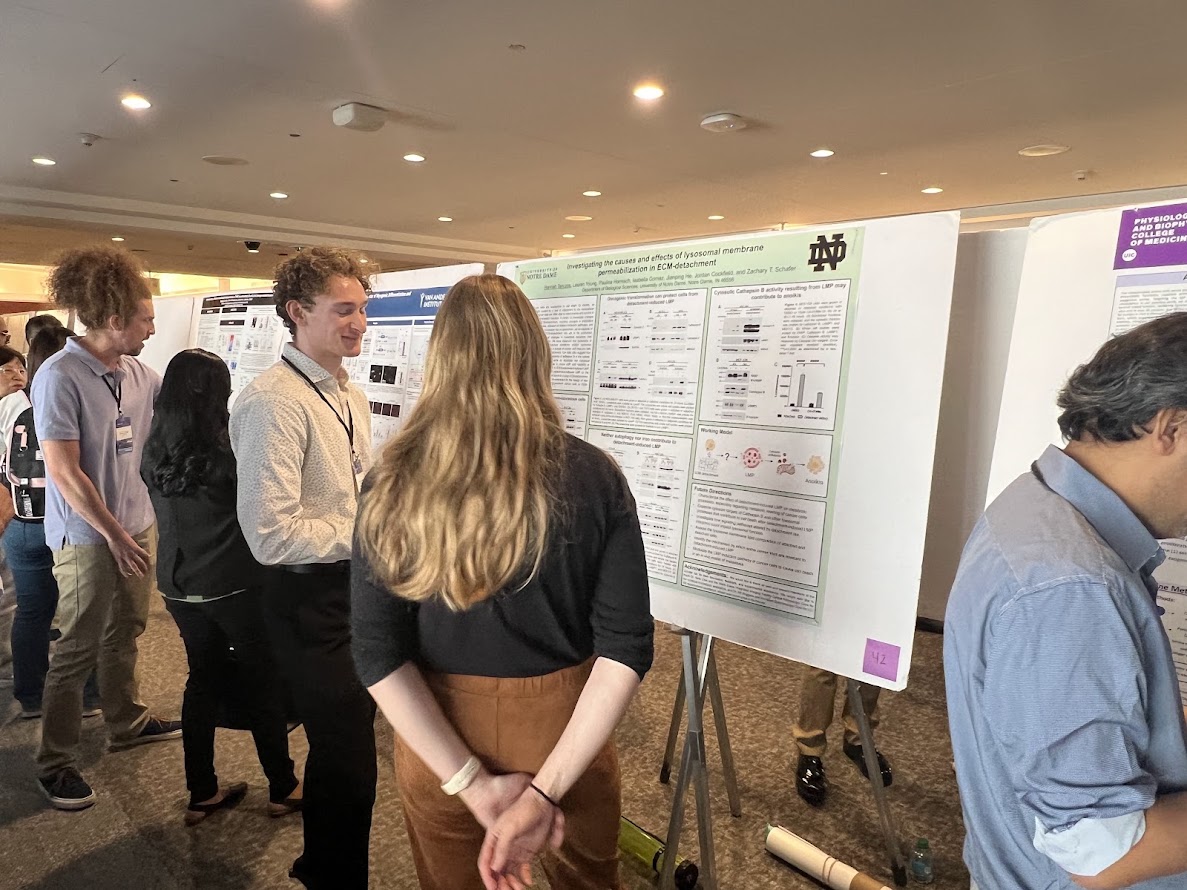 Schafer Lab tweet media