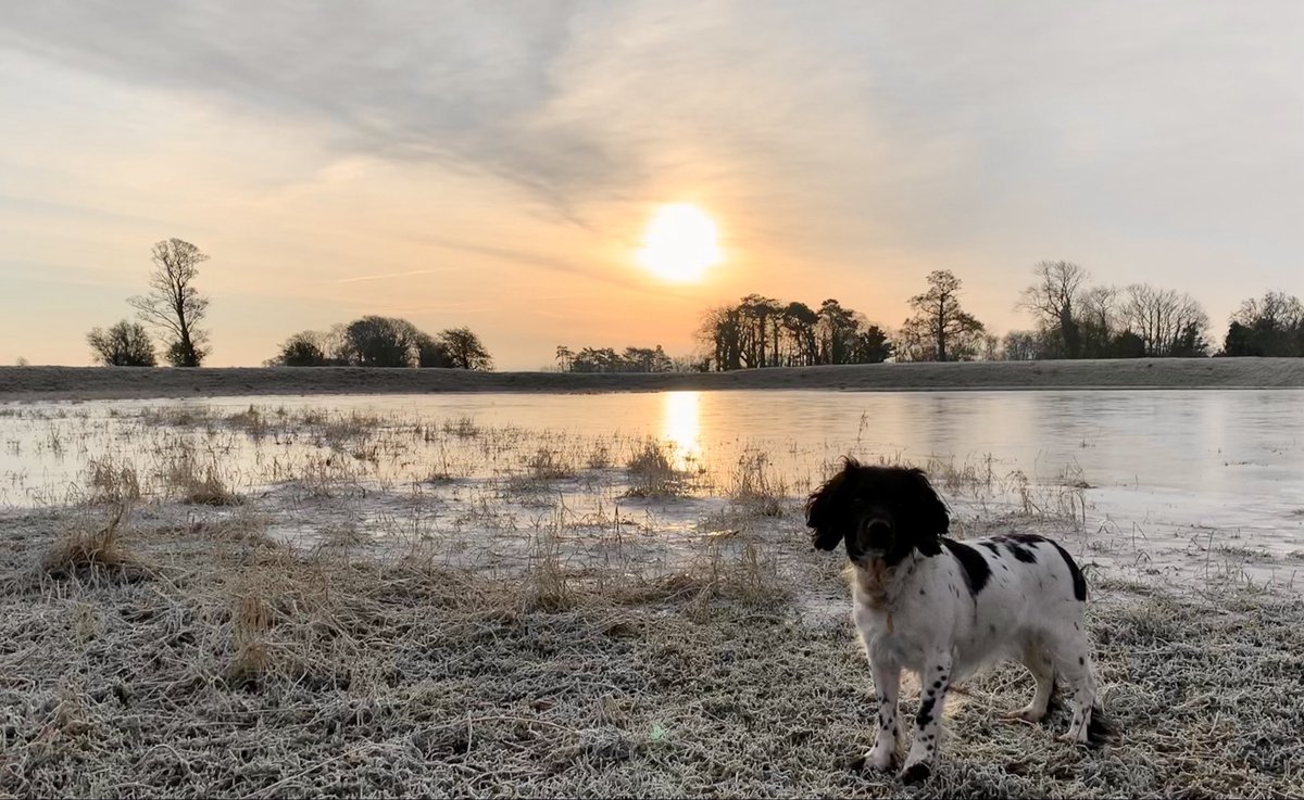 Woodspa Willow (@woodspawillow) on Twitter photo 